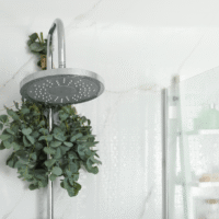 fresh eucalyptus bouquet for home spa and vases