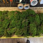 Emma Cushion Moss