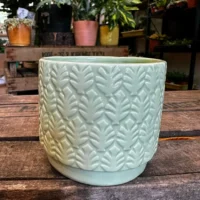 monstera and fern leaf design concrete planter