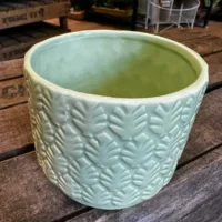 monstera and fern leaf design concrete planter