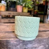 monstera and fern leaf design concrete planter