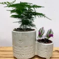 modern concrete planter with dots for 8cm pots (copy)