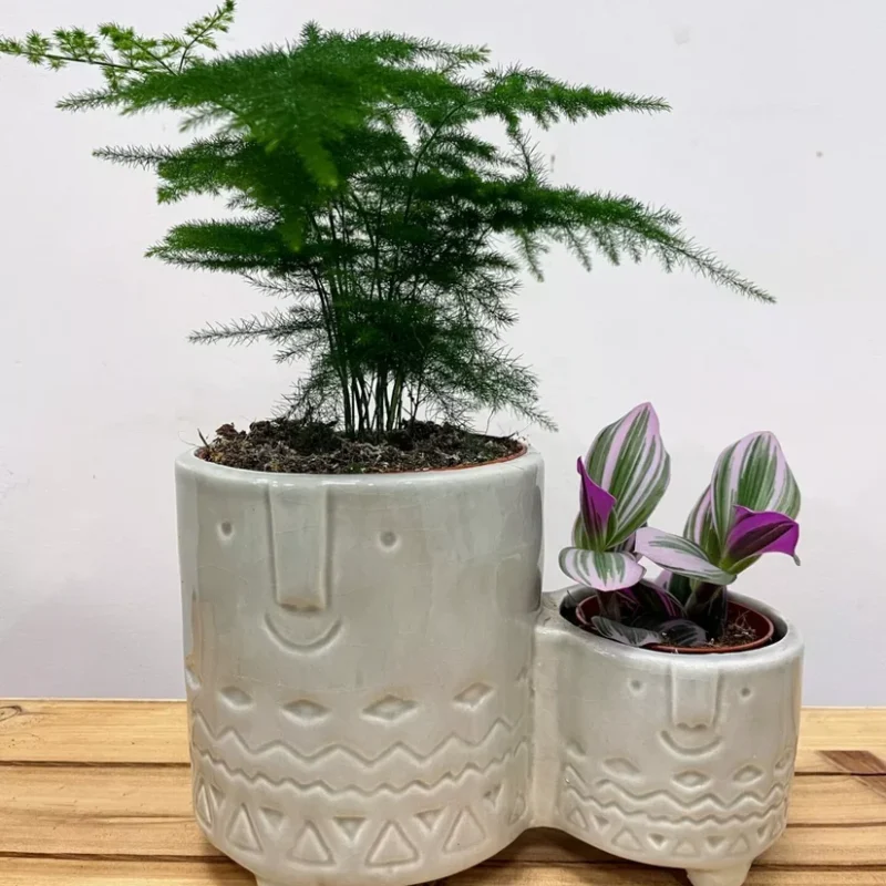 modern concrete planter with dots for 8cm pots (copy) modern concrete planter with dots for 8cm pots (copy)