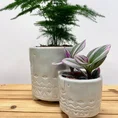 modern concrete planter with dots for 8cm pots (copy)