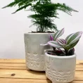 modern concrete planter with dots for 8cm pots (copy)