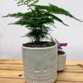 modern concrete planter with dots for 8cm pots (copy)