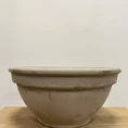 terracotta bowl succulent cactus planter