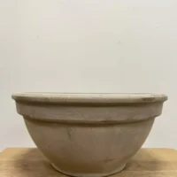terracotta bowl succulent cactus planter