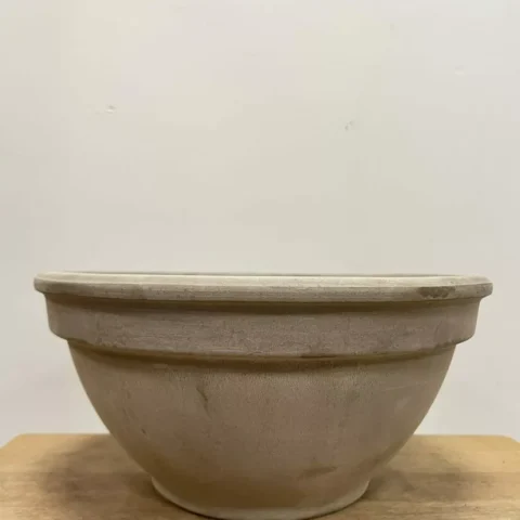 terracotta bowl succulent cactus planter