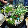 ticket: bio active terrarium workshop 2023/05/27 2023/05/27