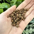 leca clay pebbles brown small size balls 3 litres