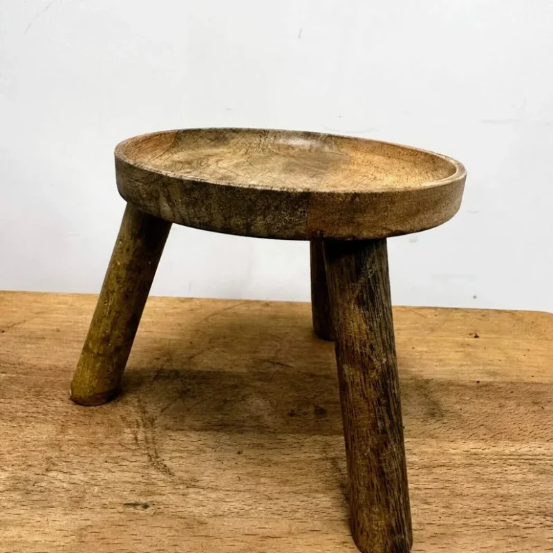 monstera adasonii 18cm pot monstera adasonii 18cm pot