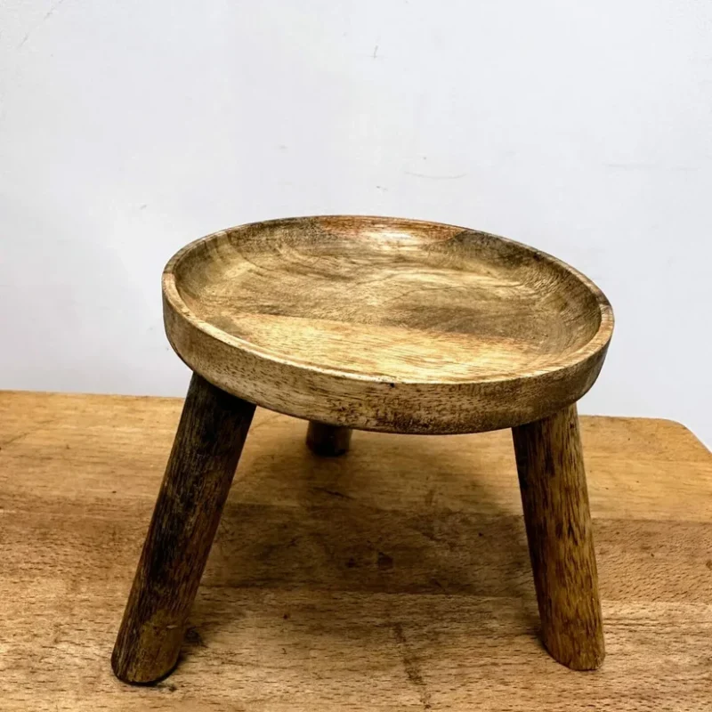 monstera adasonii 18cm pot monstera adasonii 18cm pot