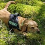 Moss for Caley Bros