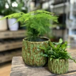 Wave Green Glazed Ceramic Pot