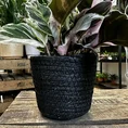 rustic seaweed natural emerald green basket for 17cm pots (copy)