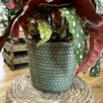 rustic seaweed natural emerald green basket for 17cm pots (copy)