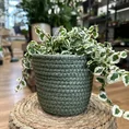 rustic seaweed natural emerald green basket for 17cm pots (copy)