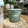 rustic seaweed natural emerald green basket for 17cm pots (copy)