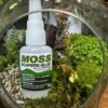 Terrarium Moss Scapers Glue 20g