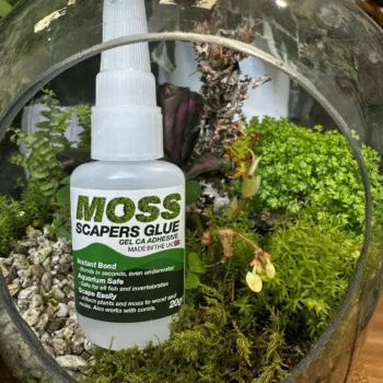 Terrarium Moss Scapers Glue 20g Glue aquarium