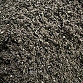 organic scottish worm casting 1kg