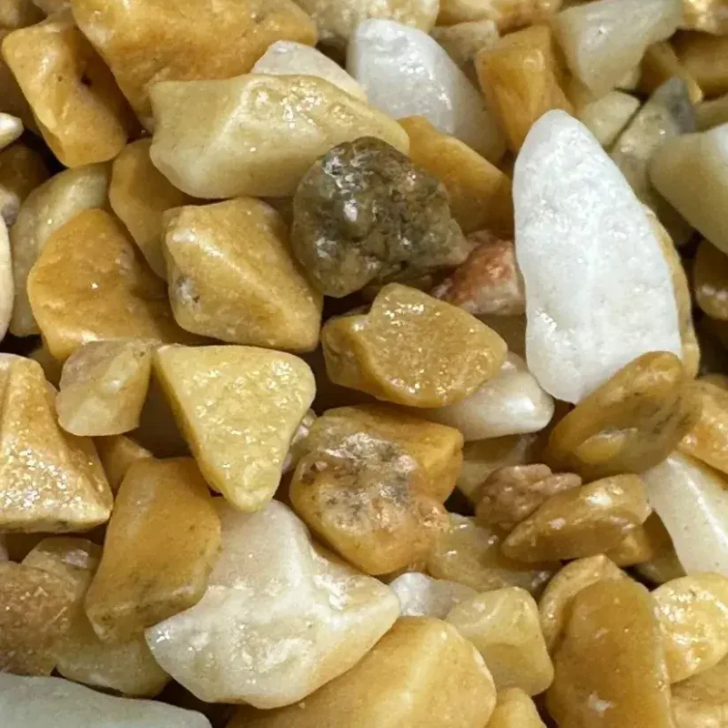 auto draft auto draft