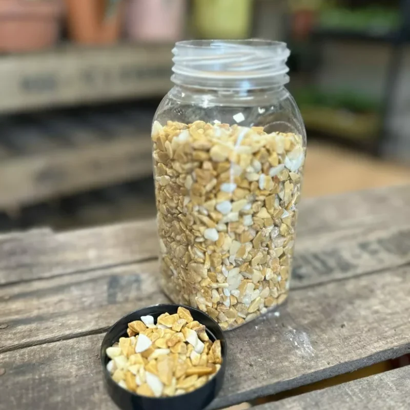 auto draft auto draft