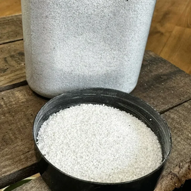 sophora prostata little baby sophora prostata little baby