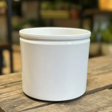 classic ceramic white planter 12cm