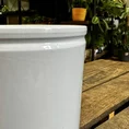 classic ceramic white planter 12cm