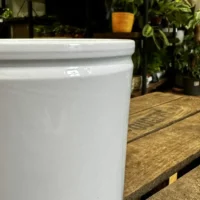 classic ceramic white planter 12cm