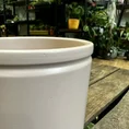classic ceramic white planter 12cm