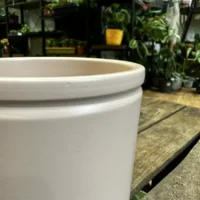 classic ceramic white planter 12cm