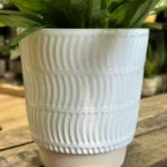 Classic Ceramic Light Pink Planter 12cm
