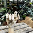 telescopic terrarium garden tool set
