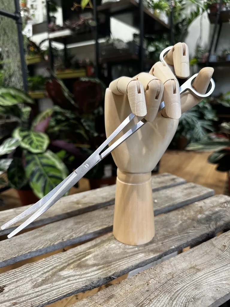 Long Terrarium Scissors