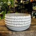 Concrete White Bowl Planter 15cm