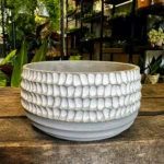 Concrete White Bowl Planter 15cm
