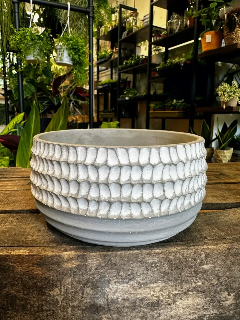 Concrete White Bowl Planter 15cm