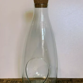 Vintage Bottle Terrarium Eco Glass Container Glass Containers 2