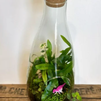 Vintage Bottle Terrarium Eco Glass Container Glass Containers