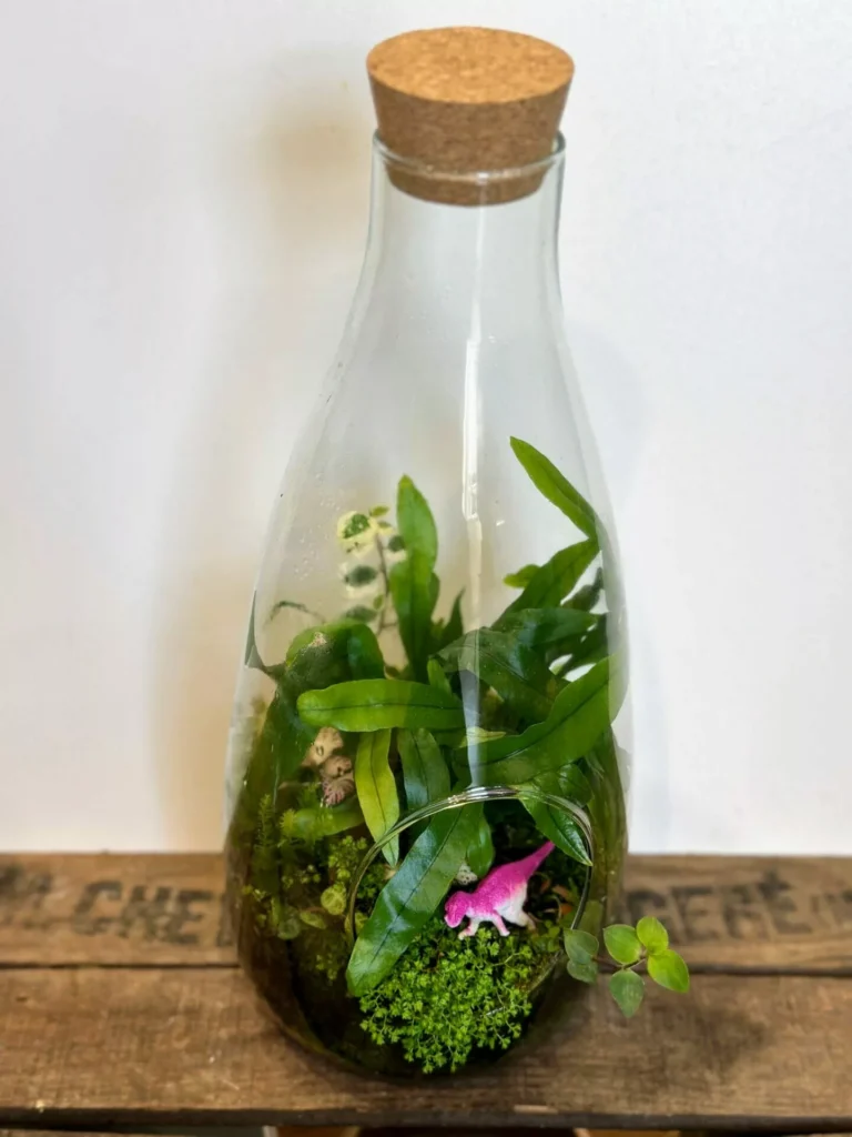 Vintage Bottle Terrarium Eco Glass Container