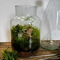 make own terrarium kit eco glass
