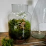 make own terrarium kit eco glass