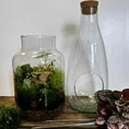 make own terrarium kit eco glass