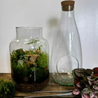 make own terrarium kit eco glass