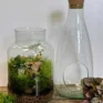 Make Your Own Open Terrarium Kit | Eco-Glass