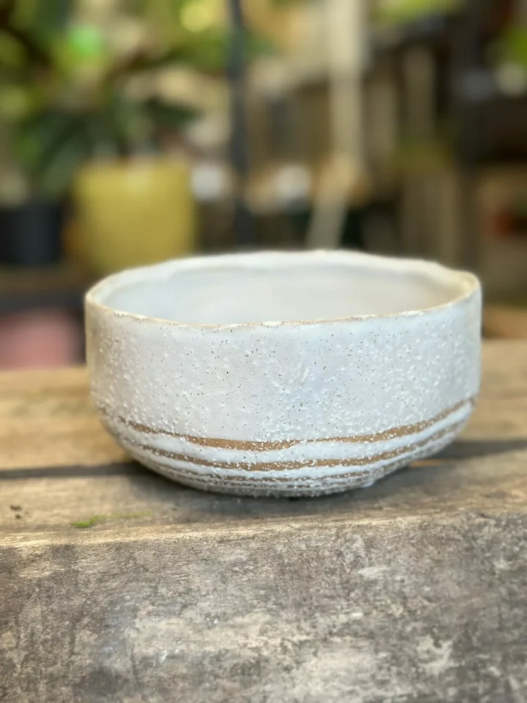 Glazed White Bowl Planter 14cm