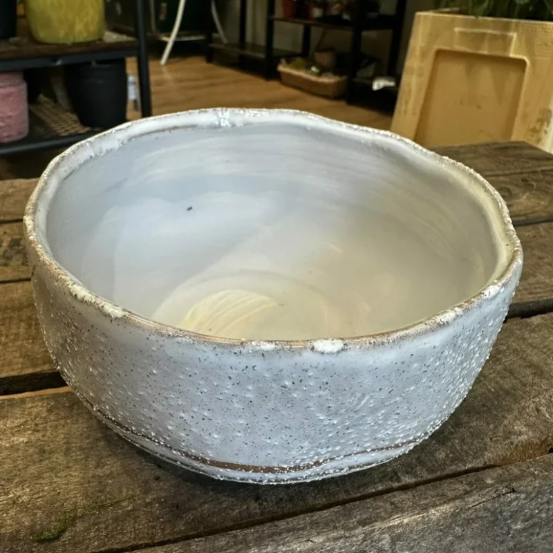 philodendron hederaceum brasil pothos 15cm pot philodendron hederaceum brasil pothos 15cm pot